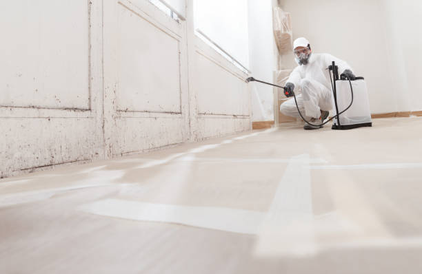 Black mold remediation team in Conshohocken